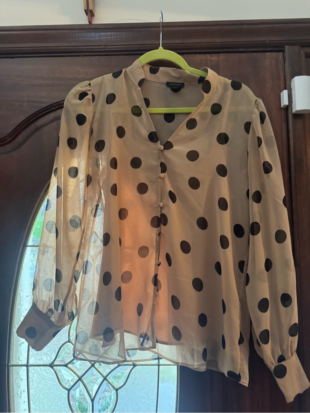 Ann Taylor Polka Dot Blouse